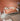 LIFETIME Kidsrooms Original Single Children's Bed 120x200 cm