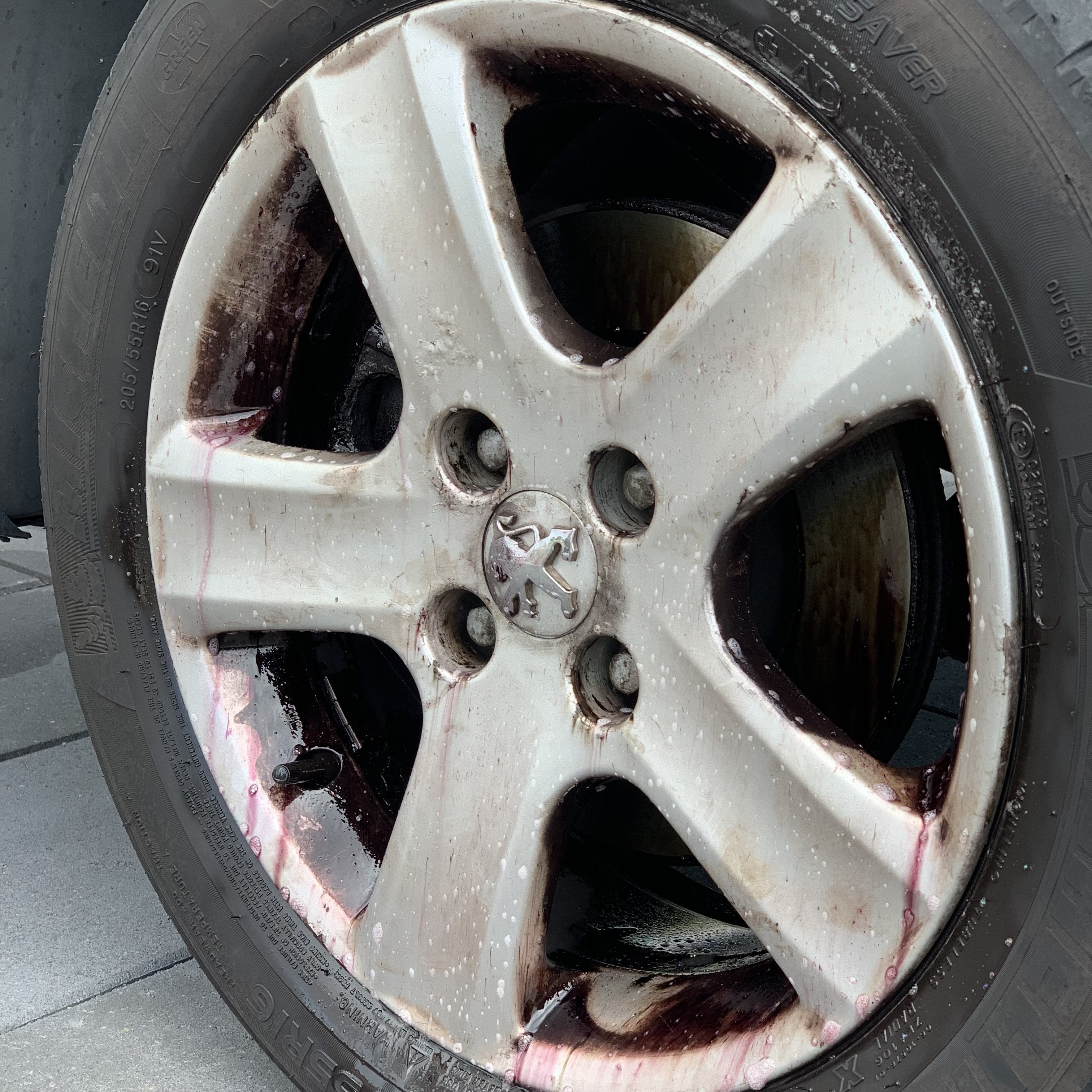 Soft99 Iron Terminator