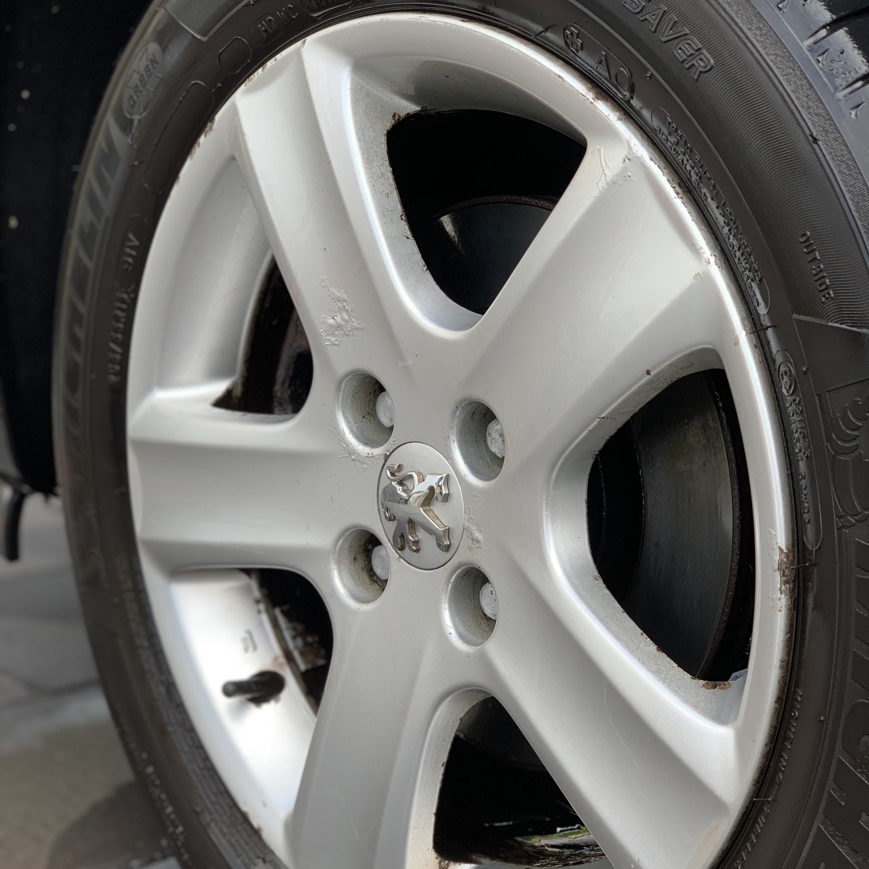 Soft99 Iron Terminator