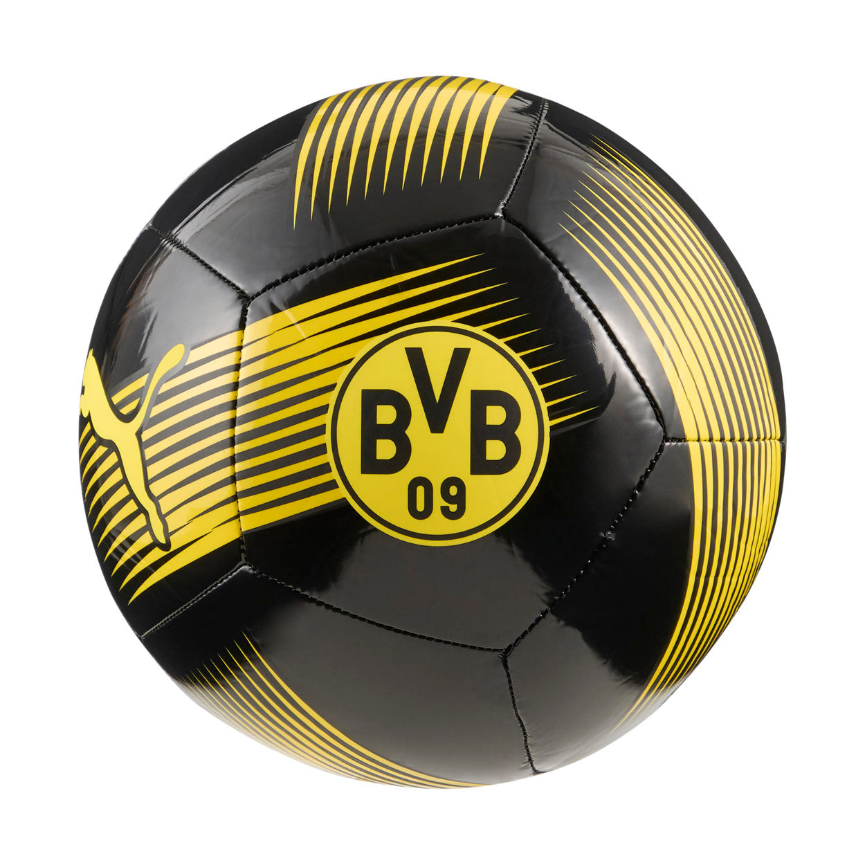 Dortmund Fodbold