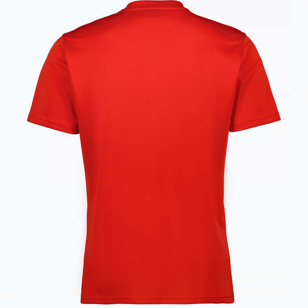 TeamGoal Trænings T-shirt