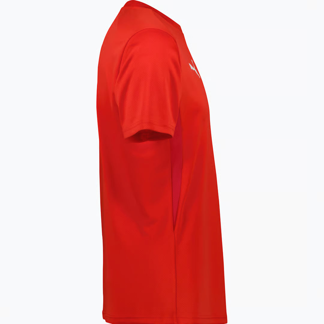 TeamGoal Trænings T-shirt