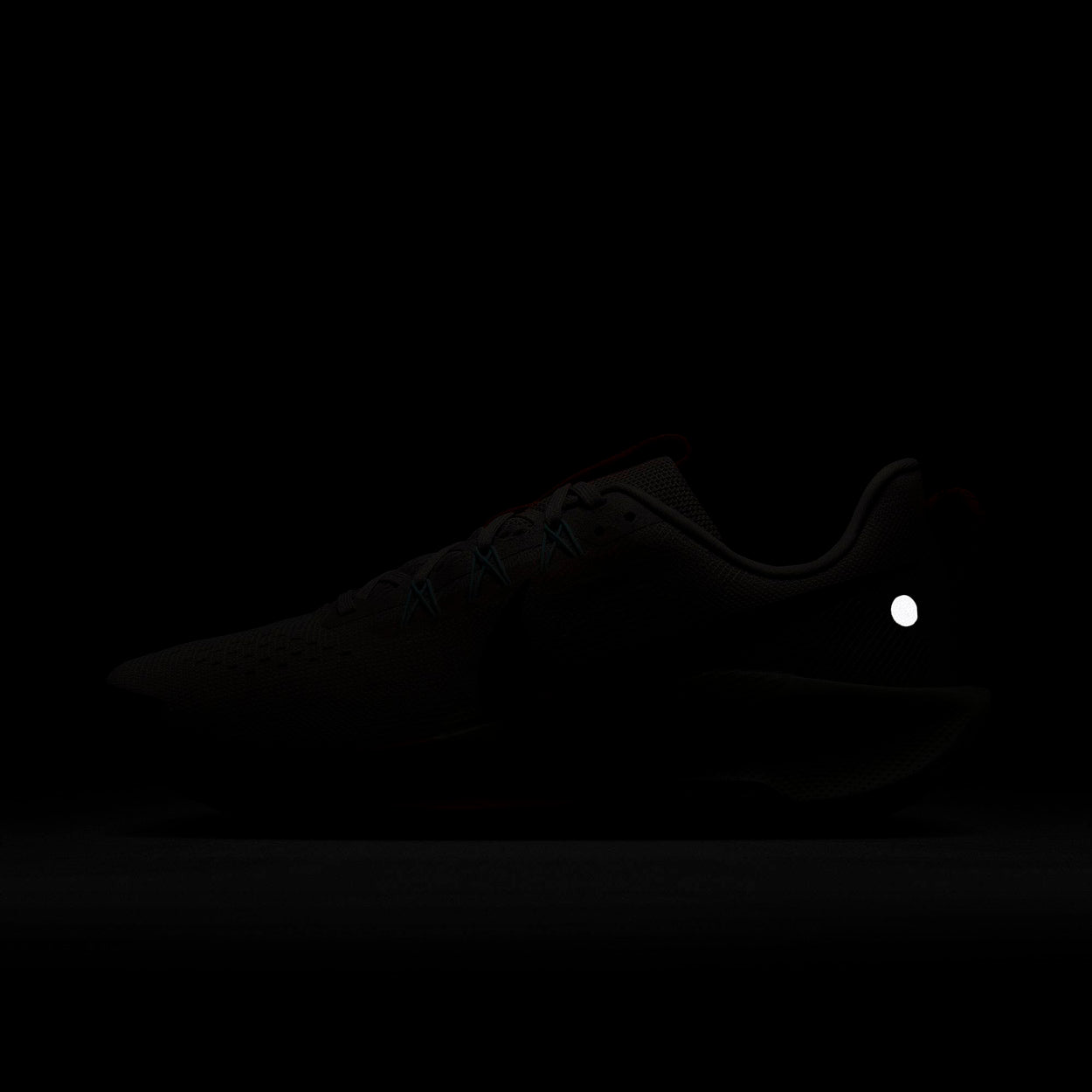 React X Pegasus Trail 5 Løbesko