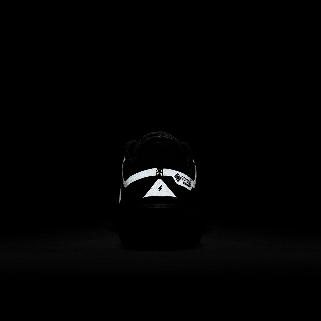 Pegasus 41 Gore-tex Løbesko