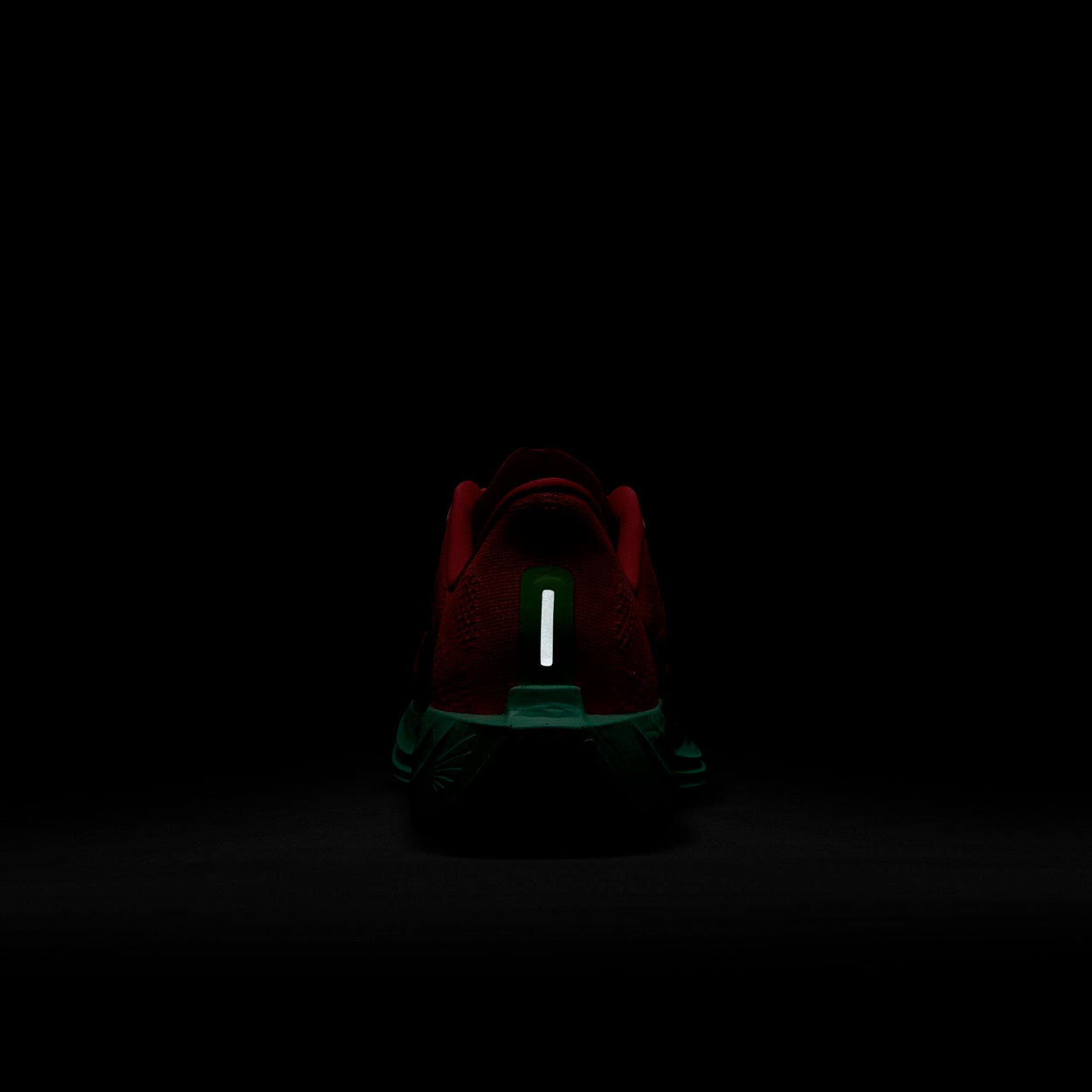 Pegasus Plus Løbesko