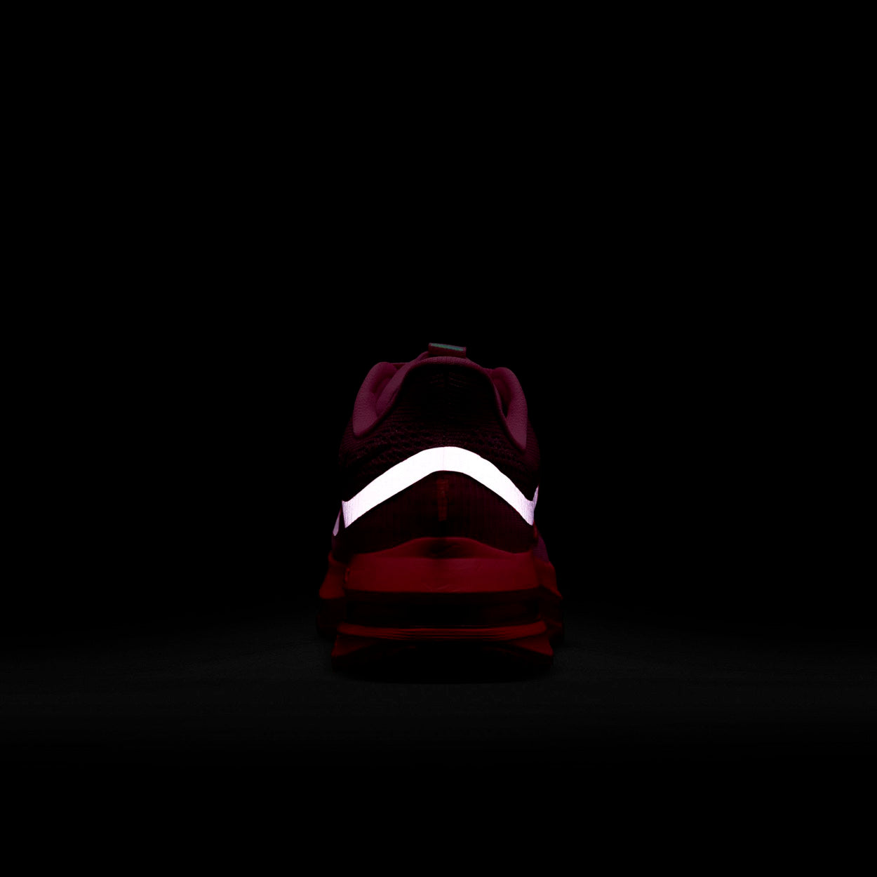 Pegasus Premier Løbesko