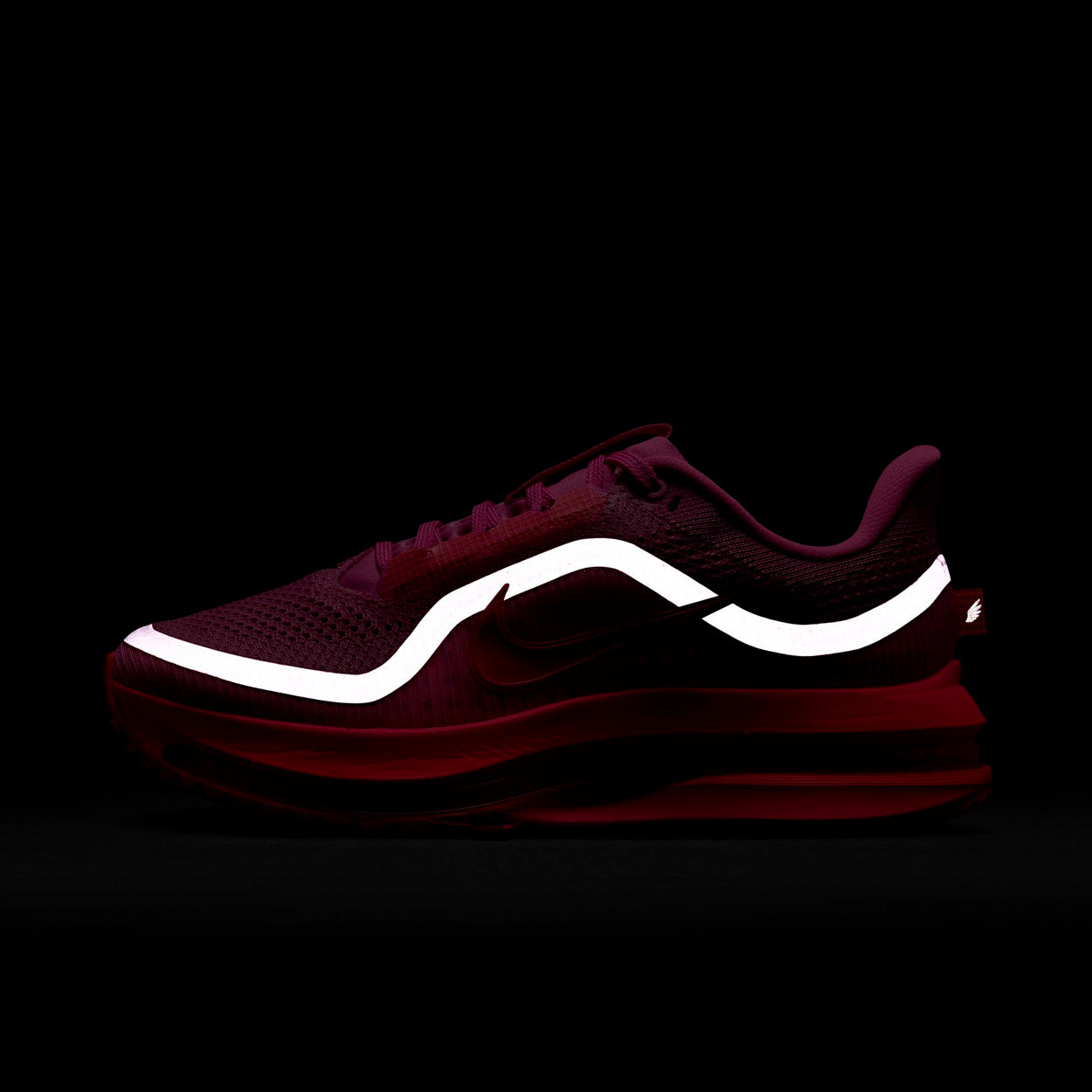 Pegasus Premier Løbesko