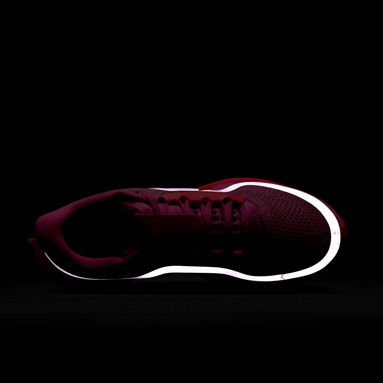 Pegasus Premier Løbesko