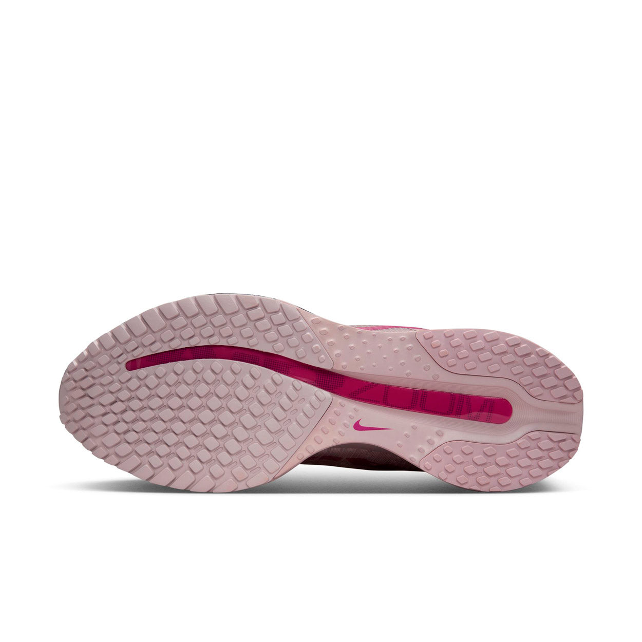 Pegasus Premier Løbesko