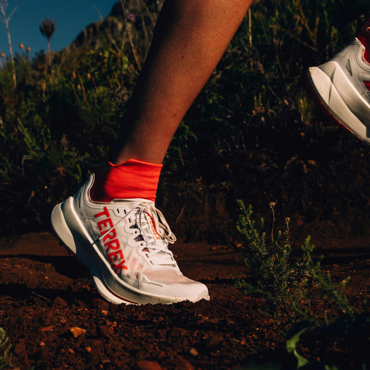 Terrex Agravic Speed Ultra Trail Løbesko