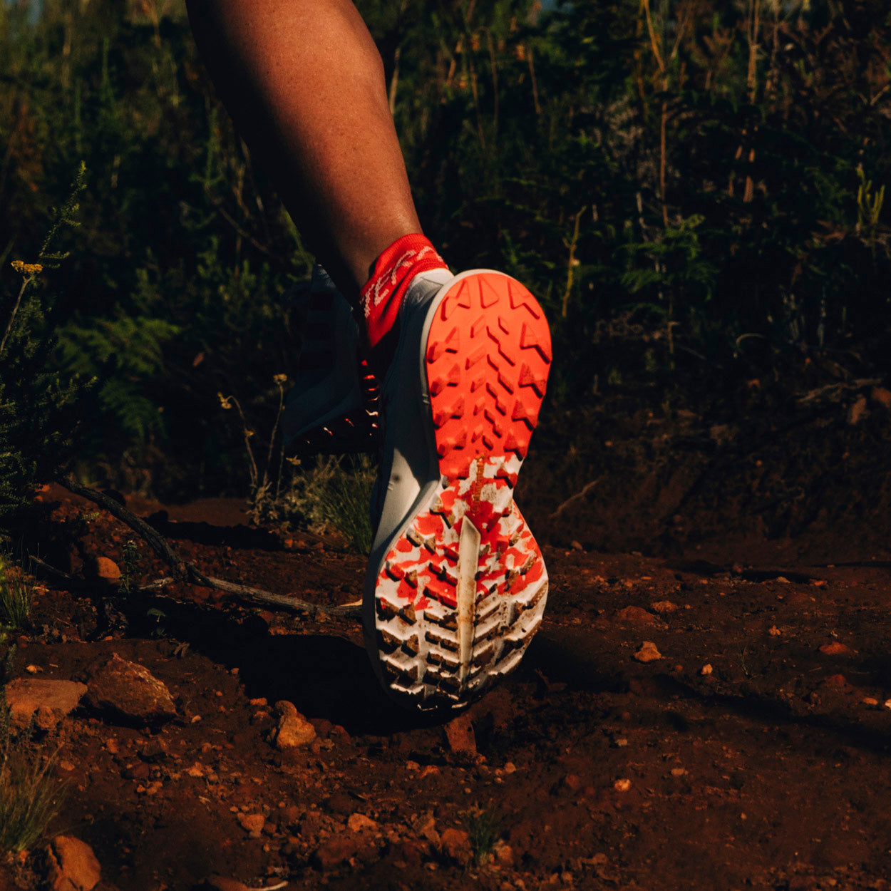 Terrex Agravic Speed Ultra Trail Løbesko