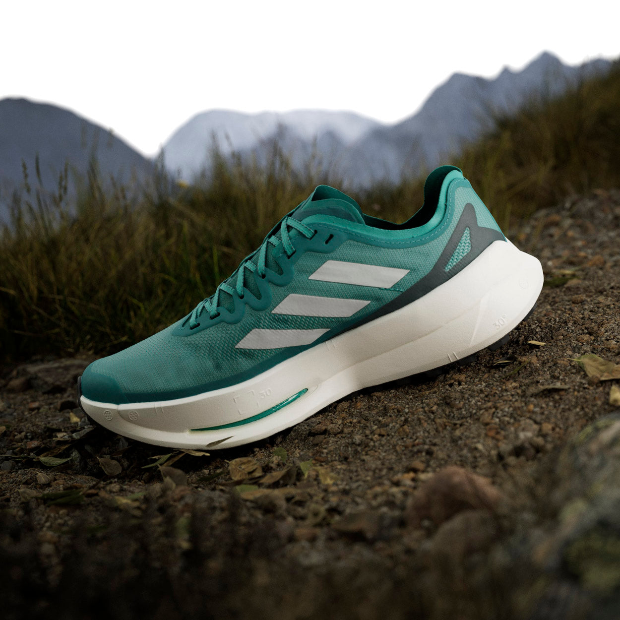 Terrex Agravic Speed Ultra Vandresko