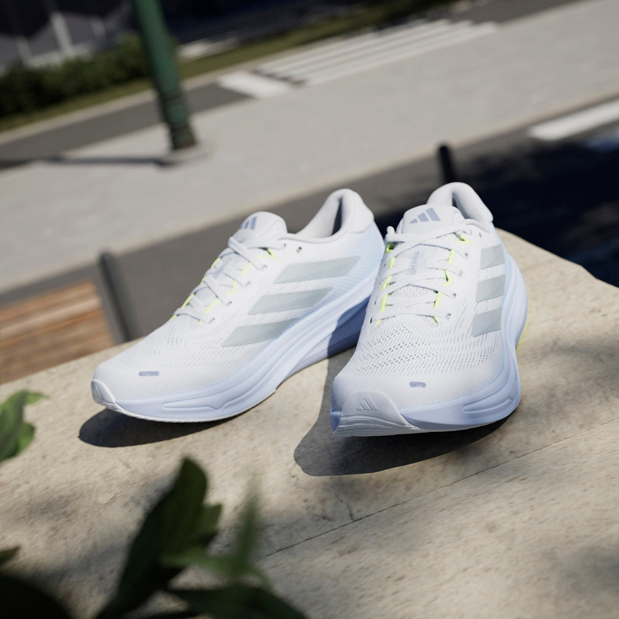 SUPERNOVA RISE 2 Løbesko