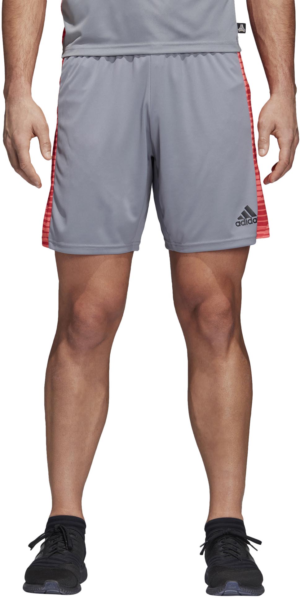 Tango Graphic Shorts