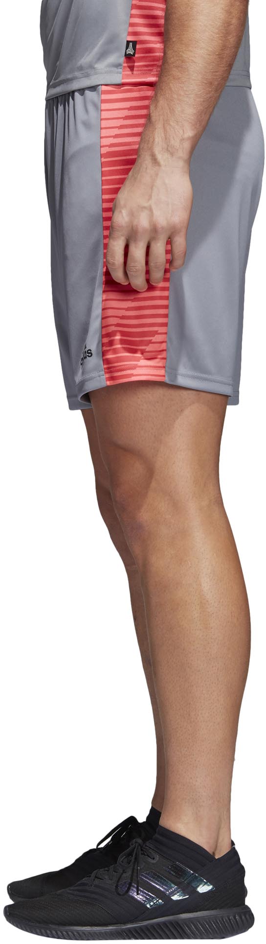 Tango Graphic Shorts