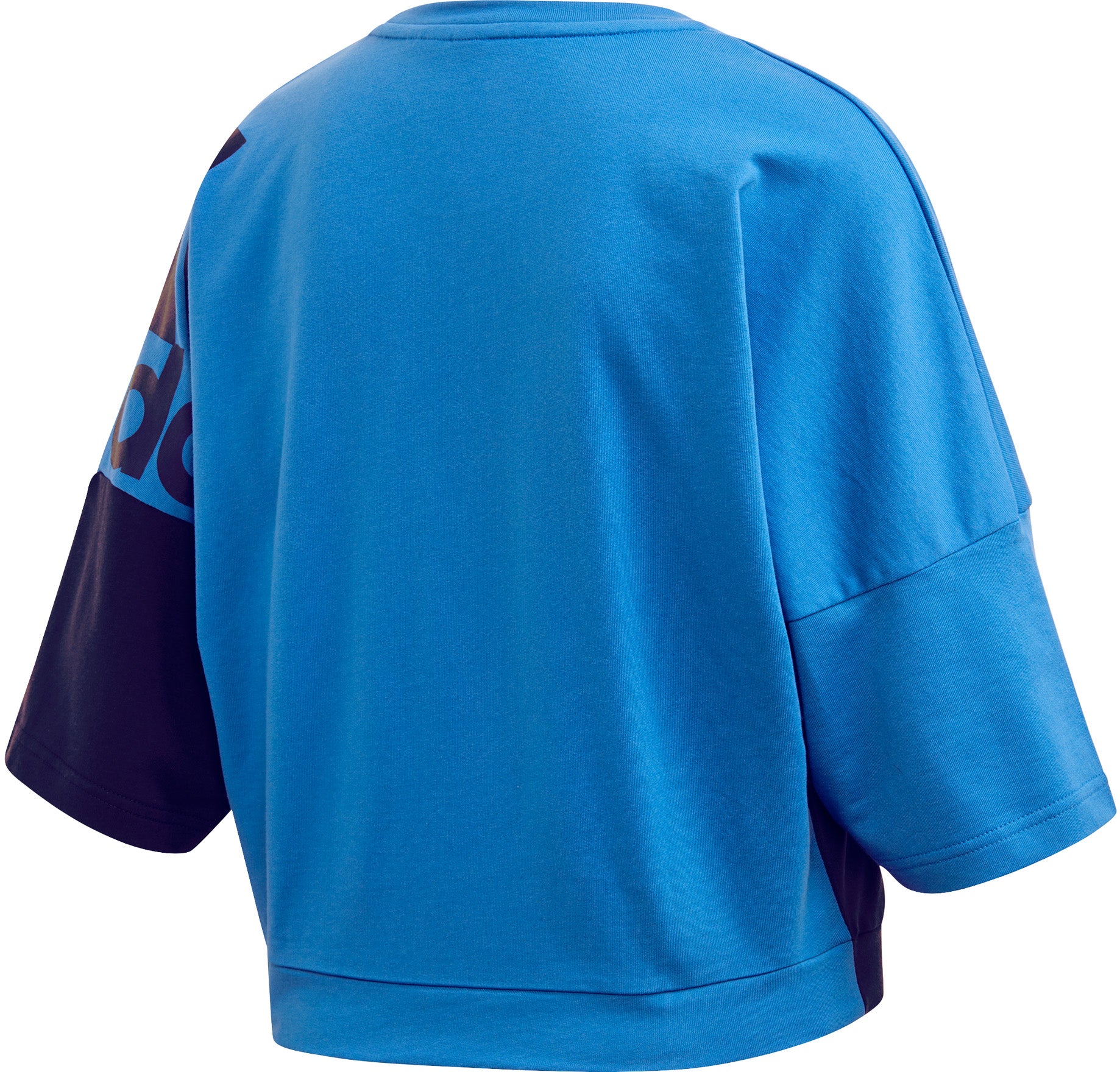 Must Haves Colorblock sweatshirt