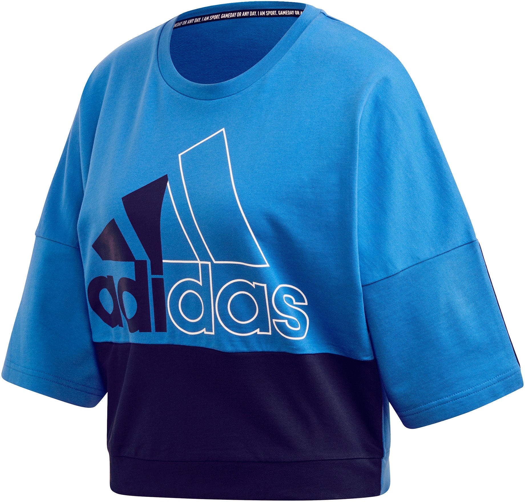 Must Haves Colorblock sweatshirt