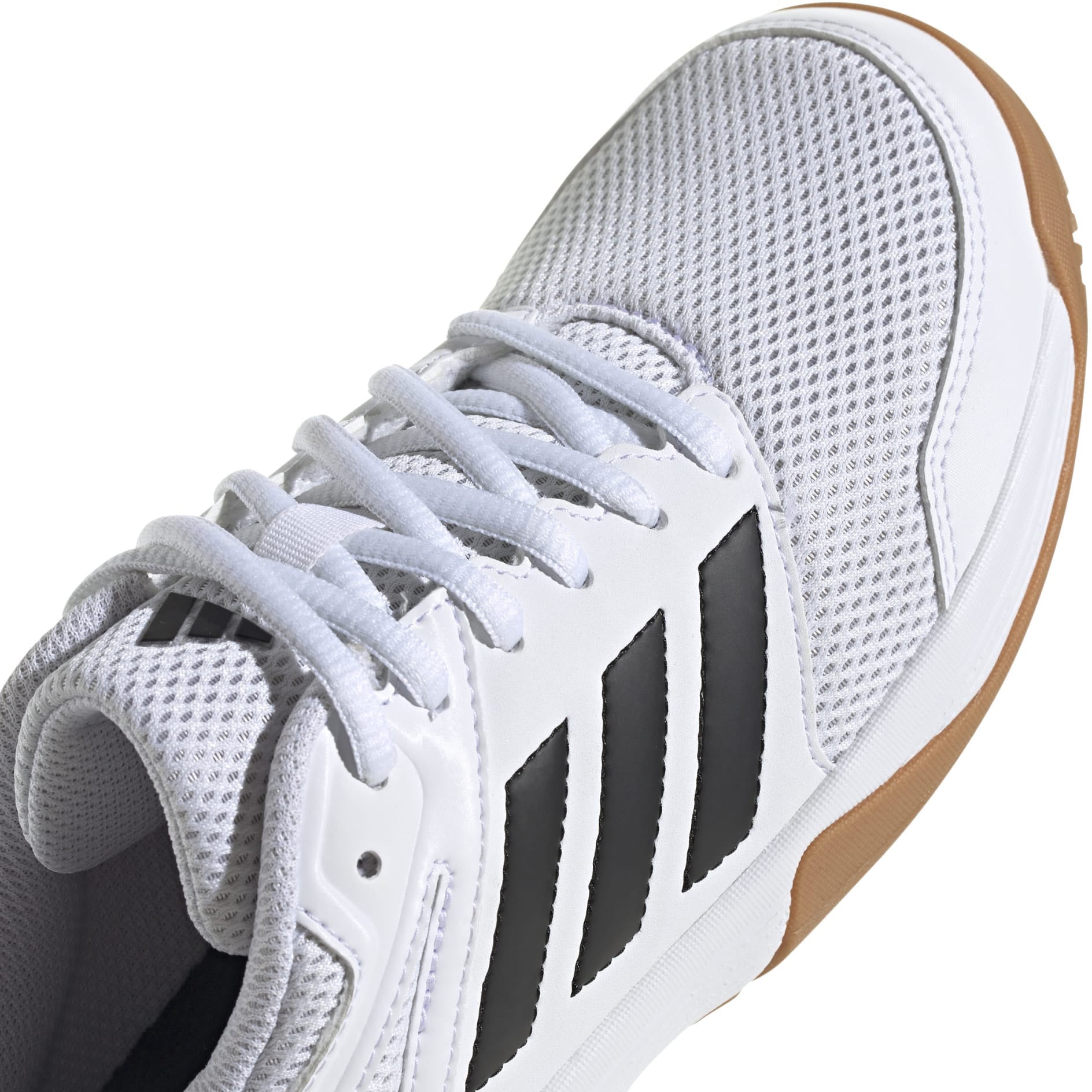 Speedcourt Indendørssko & Håndboldsko