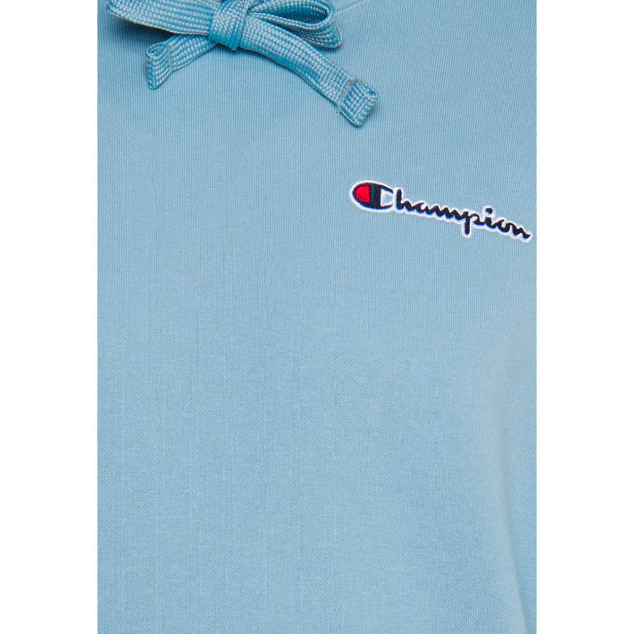 Small Script Logo Heavy Cotton hættetrøje