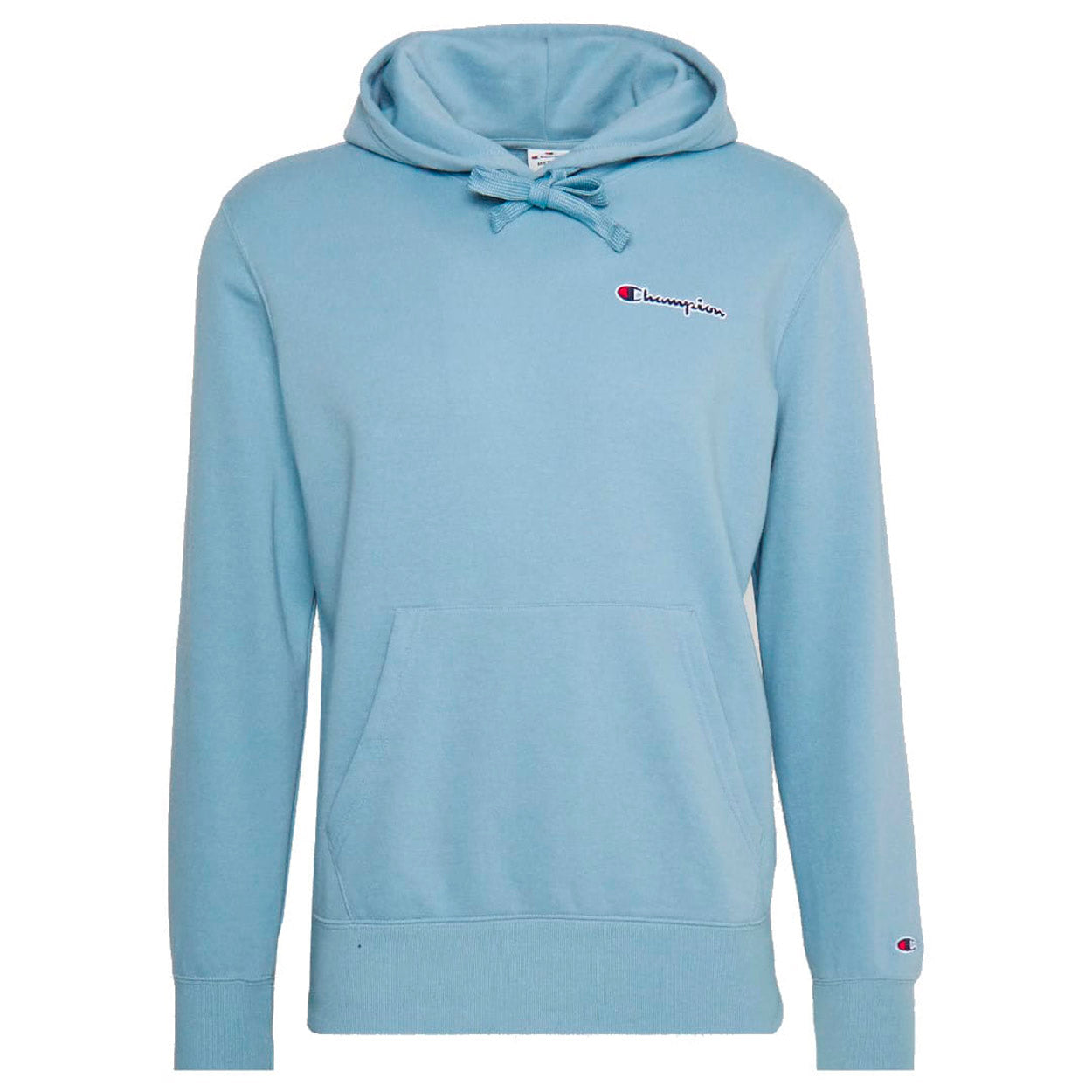 Small Script Logo Heavy Cotton hættetrøje