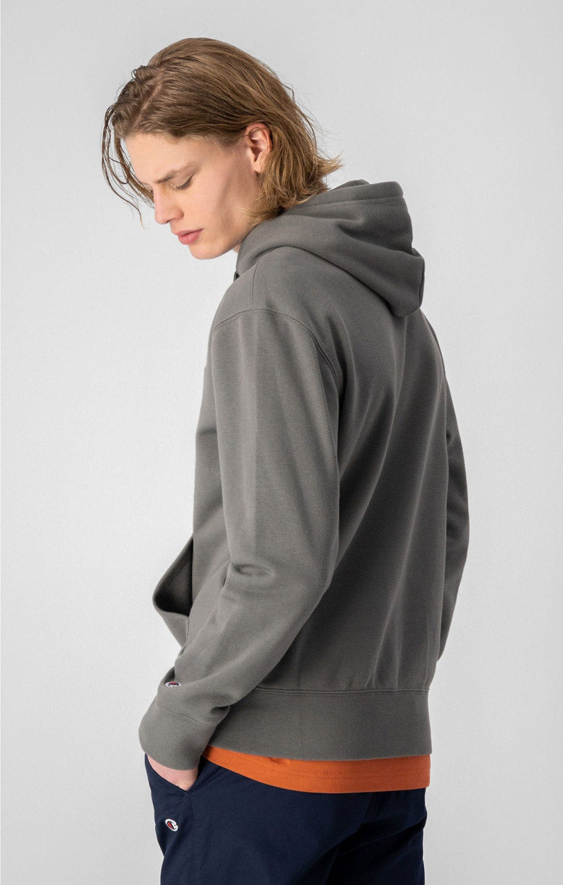 Small Script Logo Heavy Cotton hættetrøje
