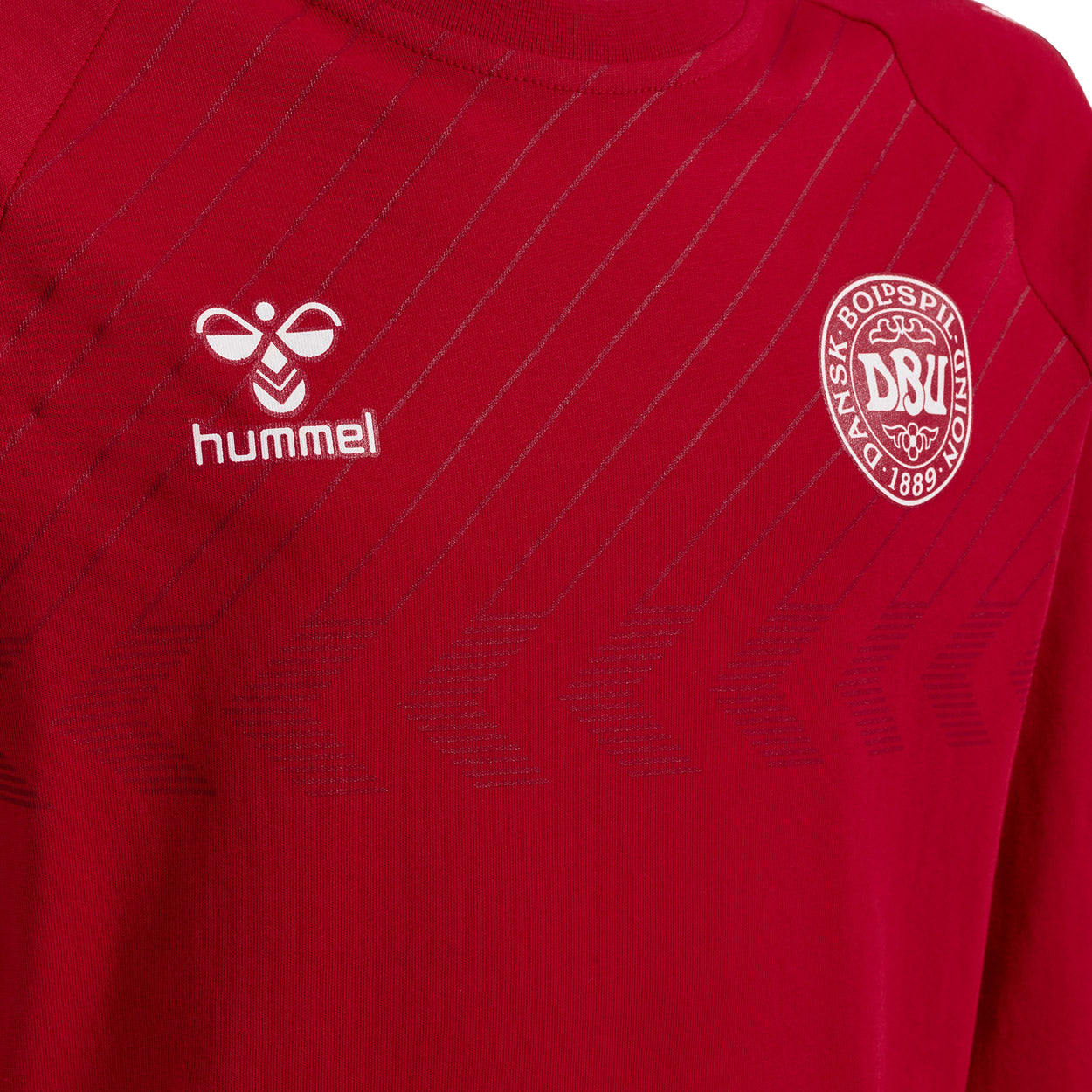 DBU Danmark Fan langærmet T-shirt Børn