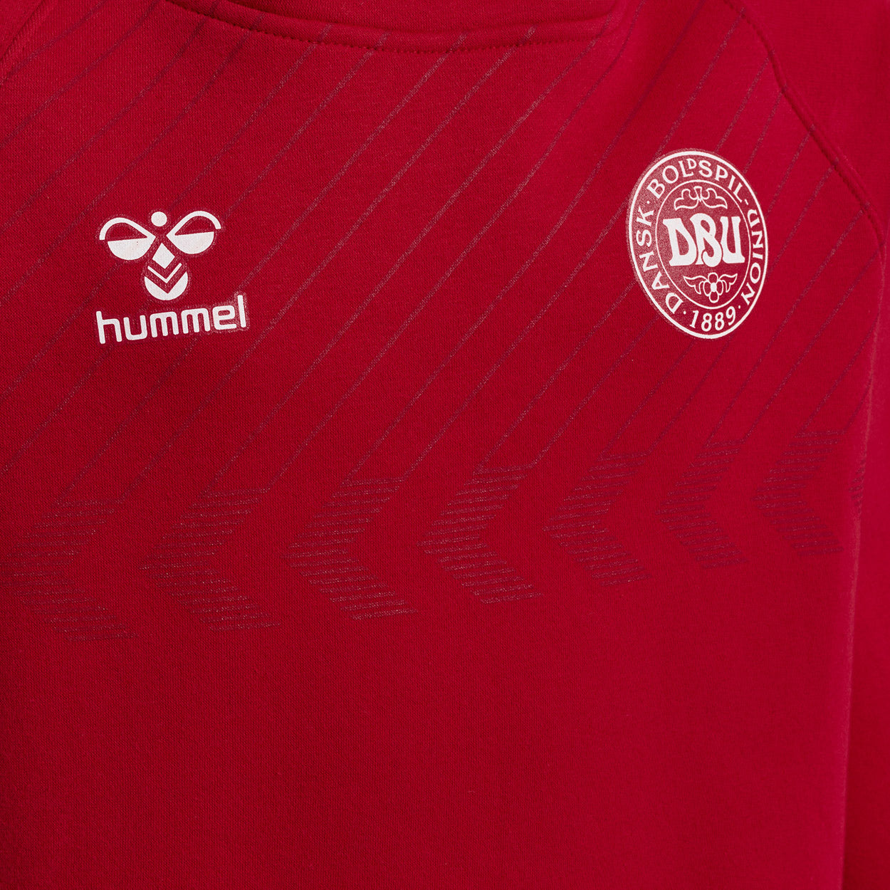 DBU Danmark Fan hættetrøje Børn