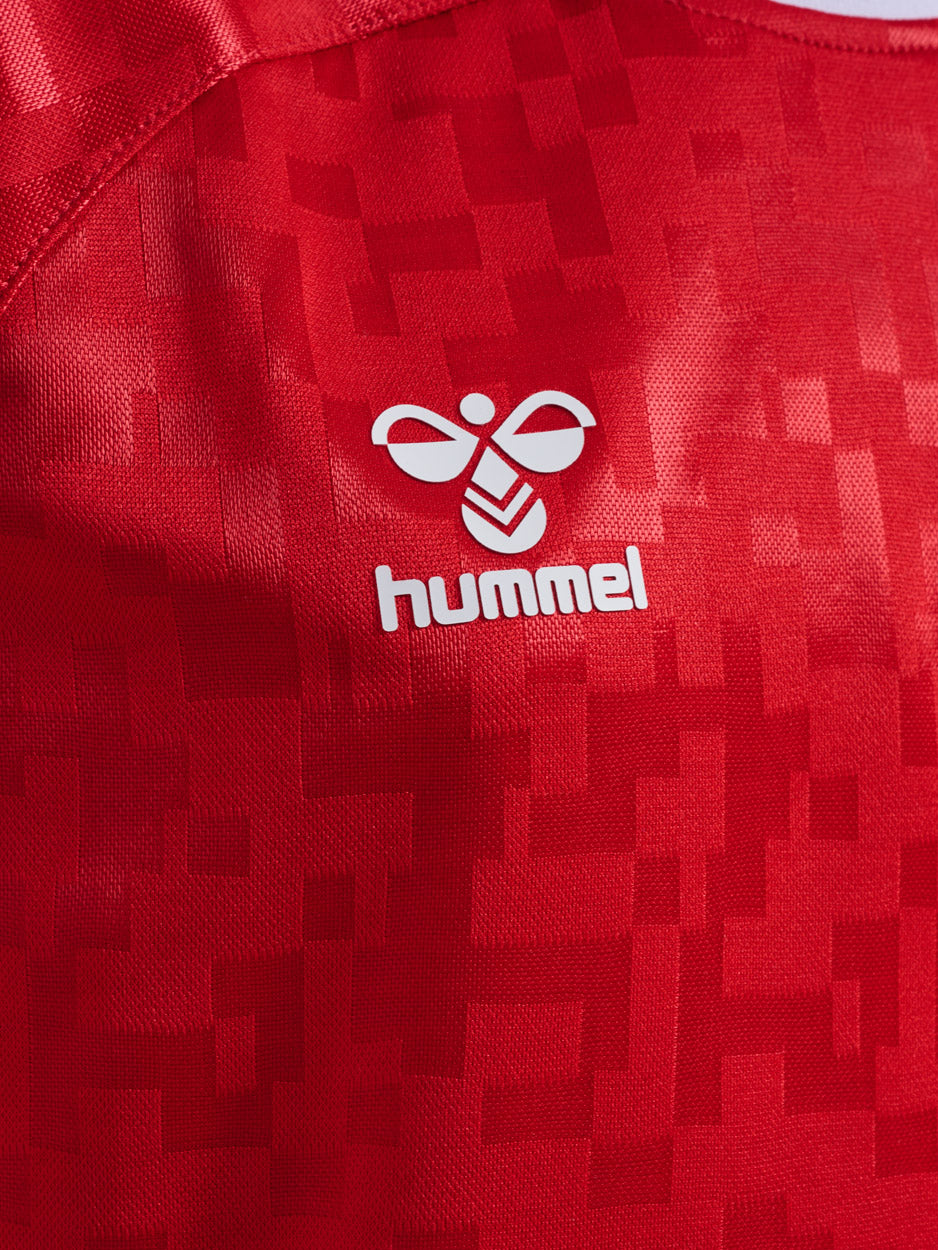 DBU Danmark 24 Hjemmebanetrøje Børn