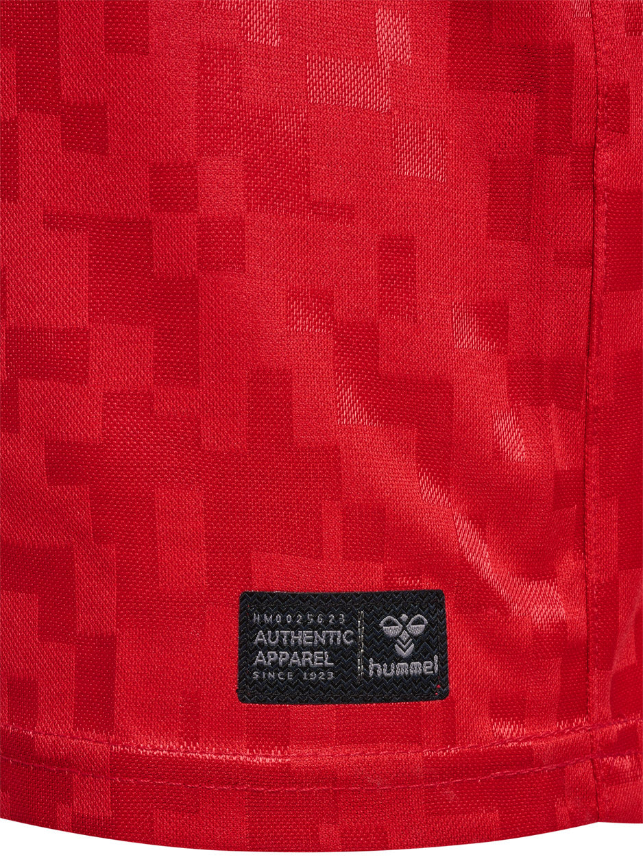 DBU Danmark 24 Hjemmebanetrøje Børn