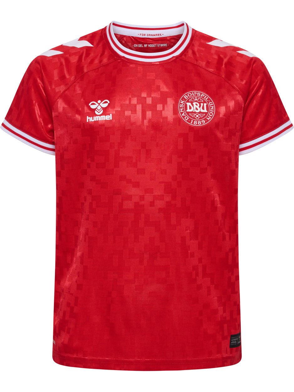 DBU Danmark 24 Hjemmebanetrøje Børn