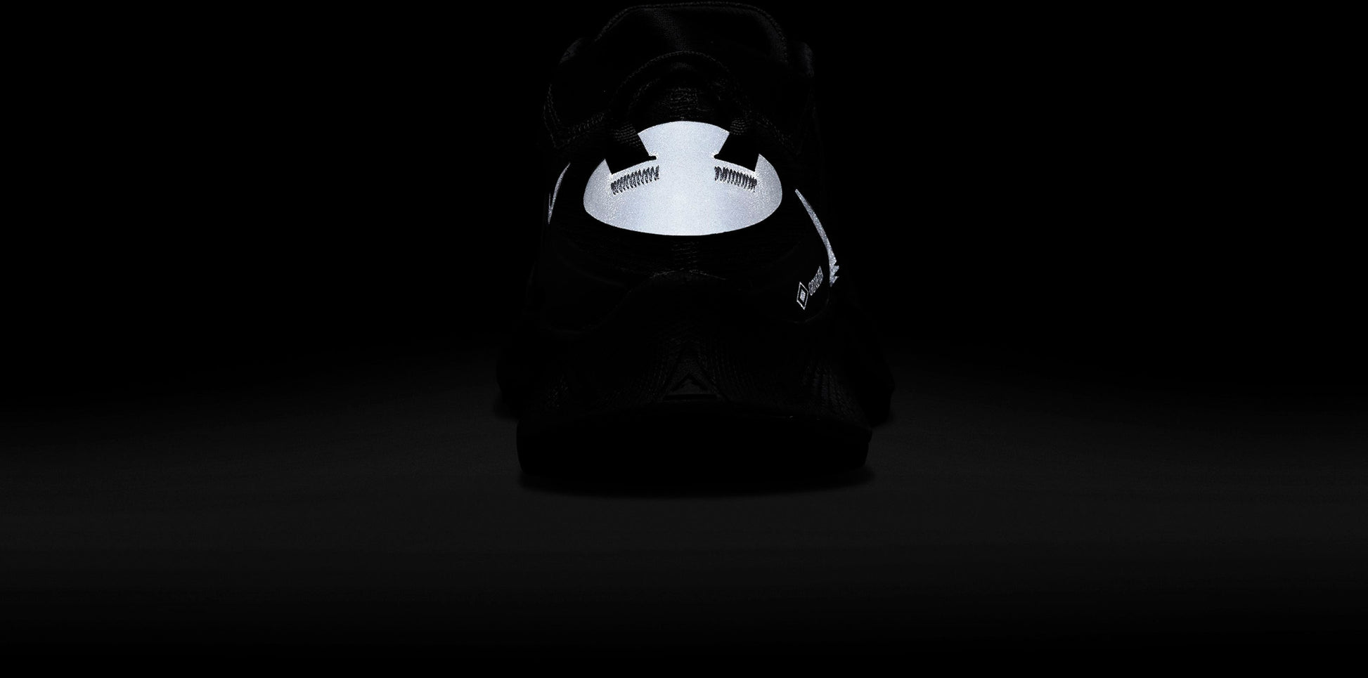 Pegasus Trail 3 GORE-TEX trail Løbesko