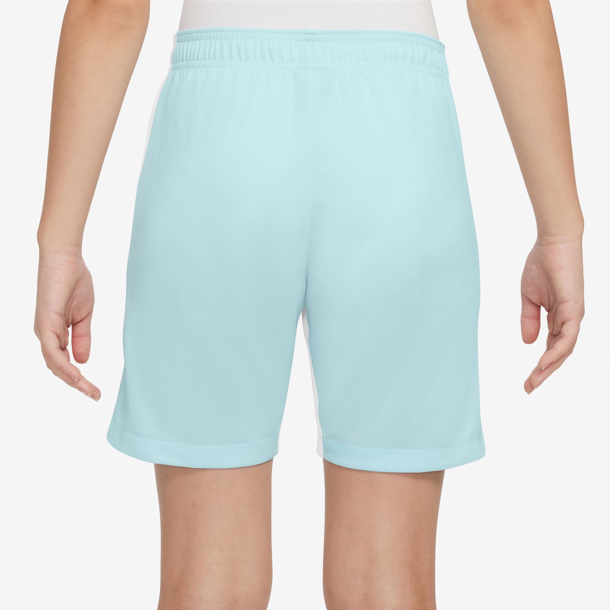 Strike Dri-FIT shorts