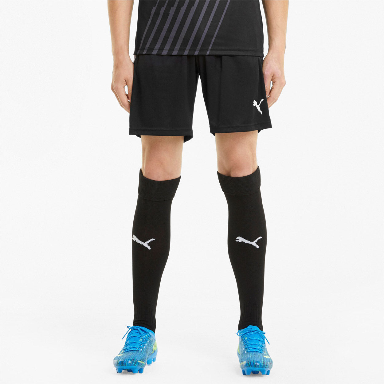 Teamliga Training shorts