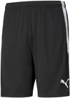 Teamliga Training shorts fra Puma