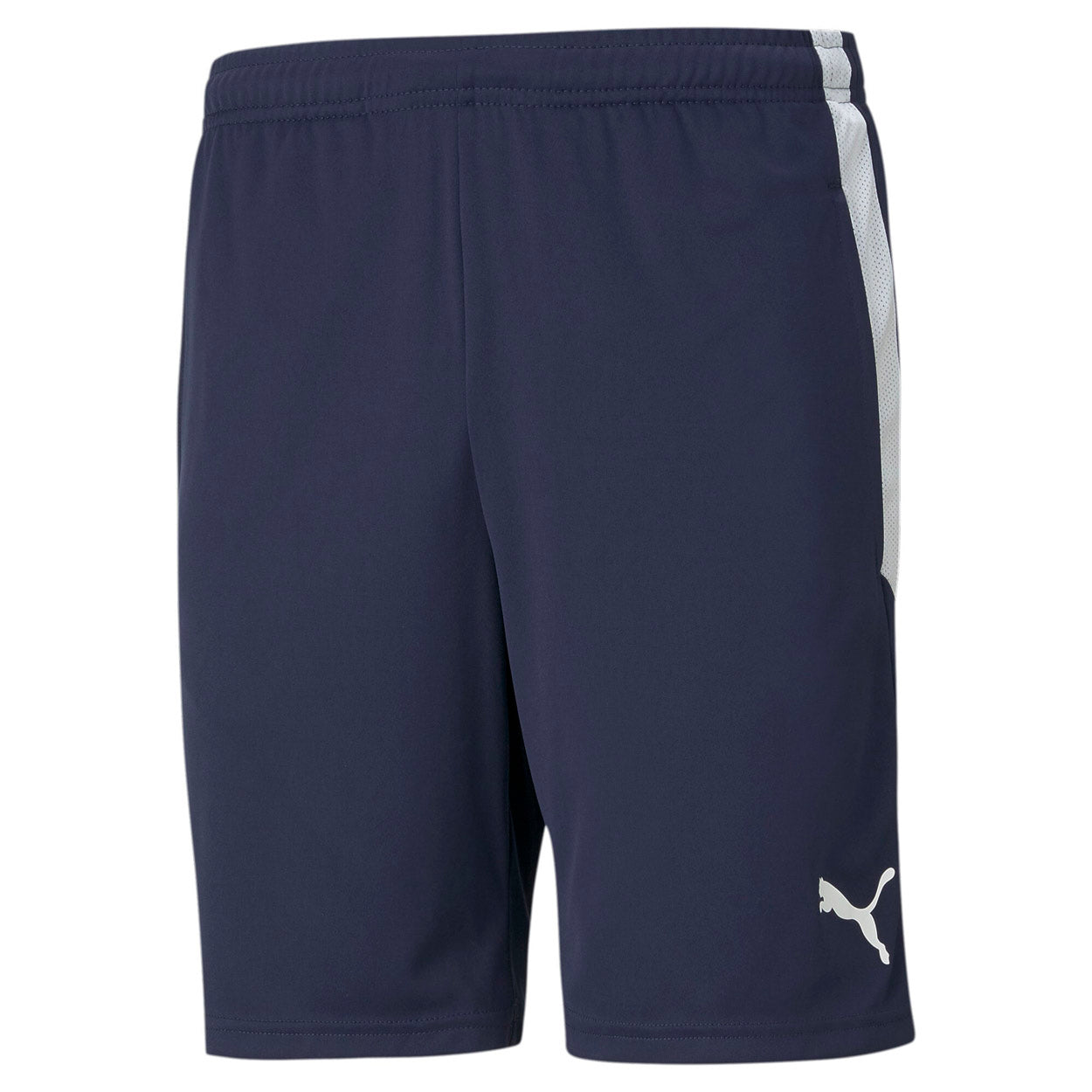 Teamliga Training shorts