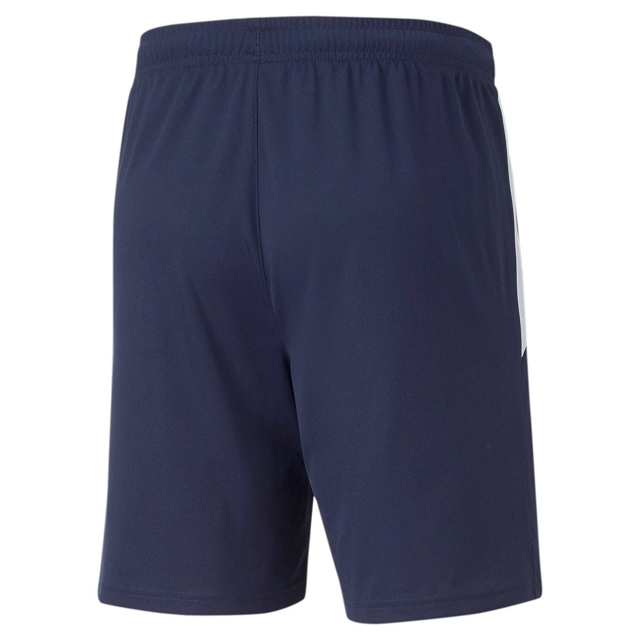 Teamliga Training shorts