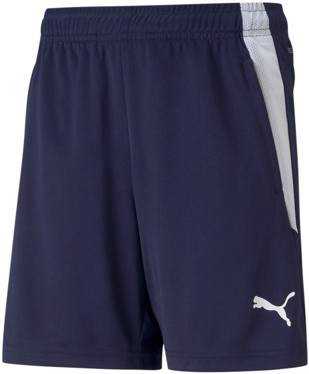 Teamliga Training shorts