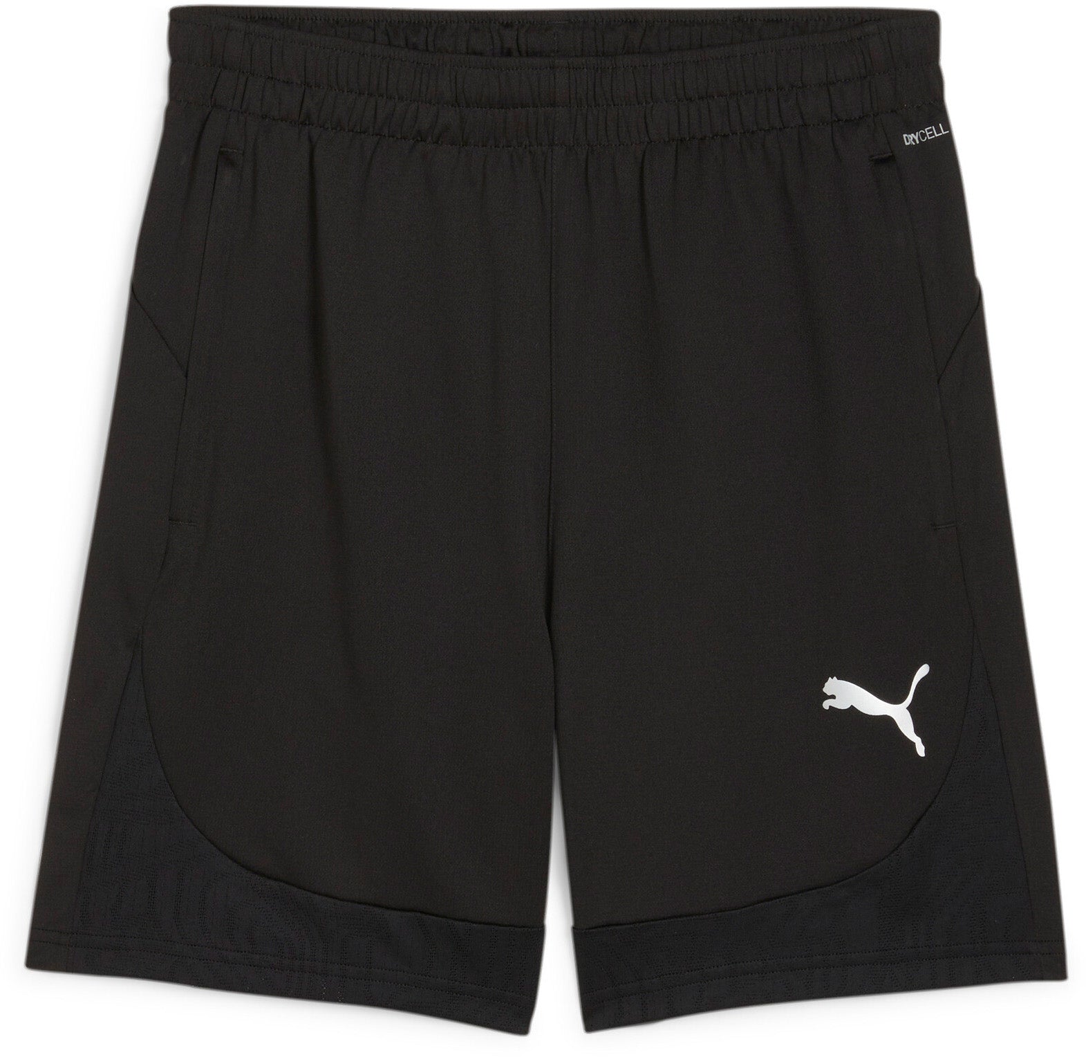 Teamfinal Training Shorts