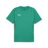 Teamgoal T-shirt fra Puma