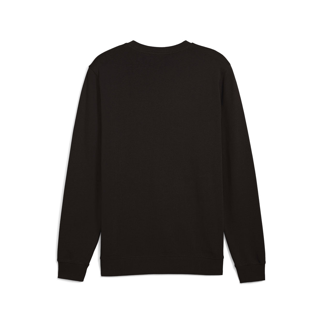 Essentials Elevated Sweatshirt