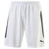 Striker Shorts fra Puma