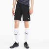 Teamfinal 21 Knit Shorts fra Puma