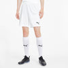 Teamgoal 23 Knit shorts fra Puma
