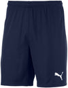Teamgoal 23 Knit shorts fra Puma