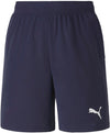 Teamgoal 23 Knit shorts fra Puma