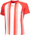 Teamliga Striped T-shirt fra Puma
