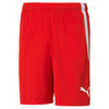 Teamliga shorts fra Puma