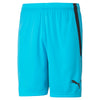 Teamliga shorts fra Puma
