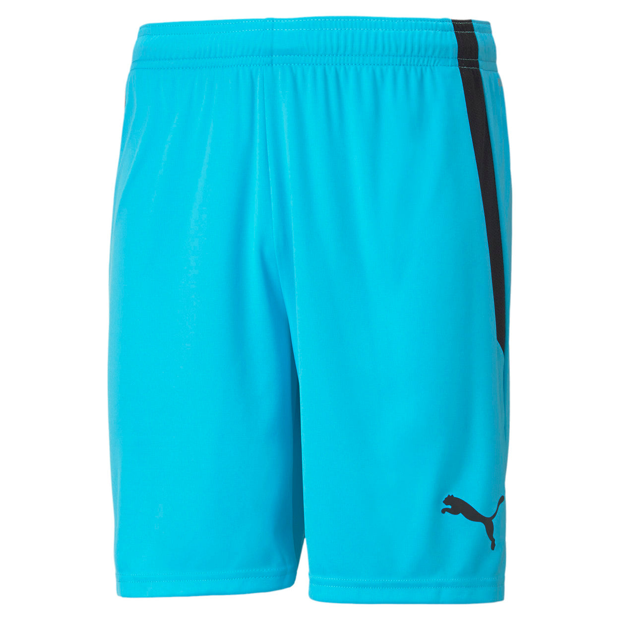 Teamliga shorts