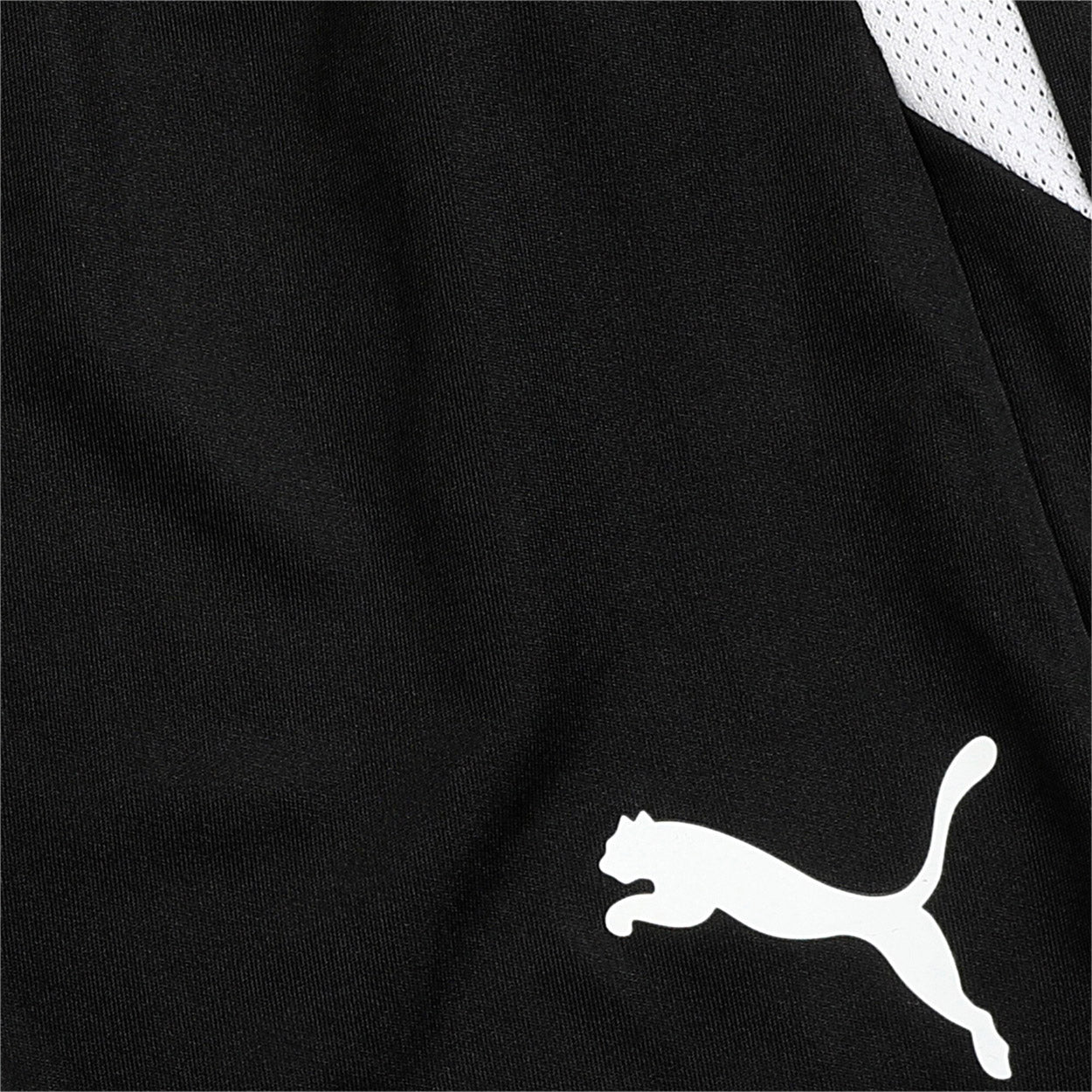 Teamliga shorts